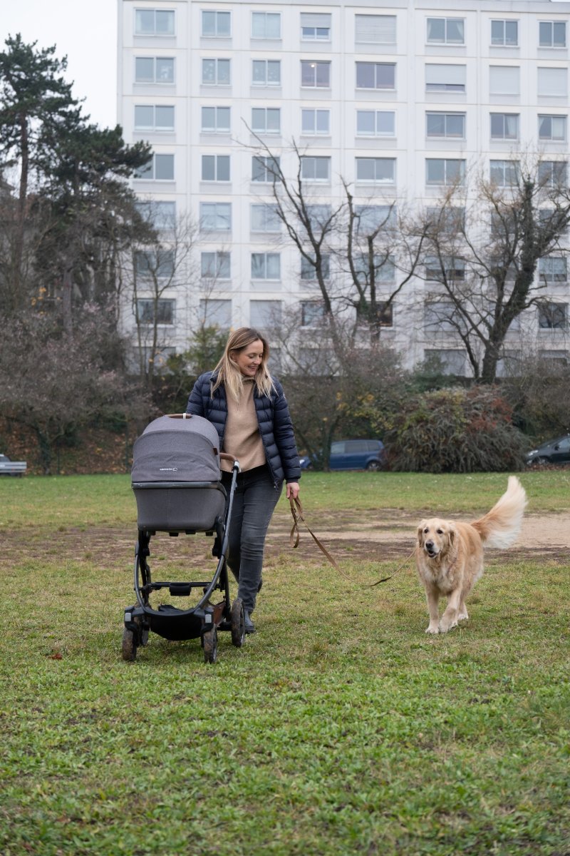 Balade avec poussette et chien, approche centrée famille