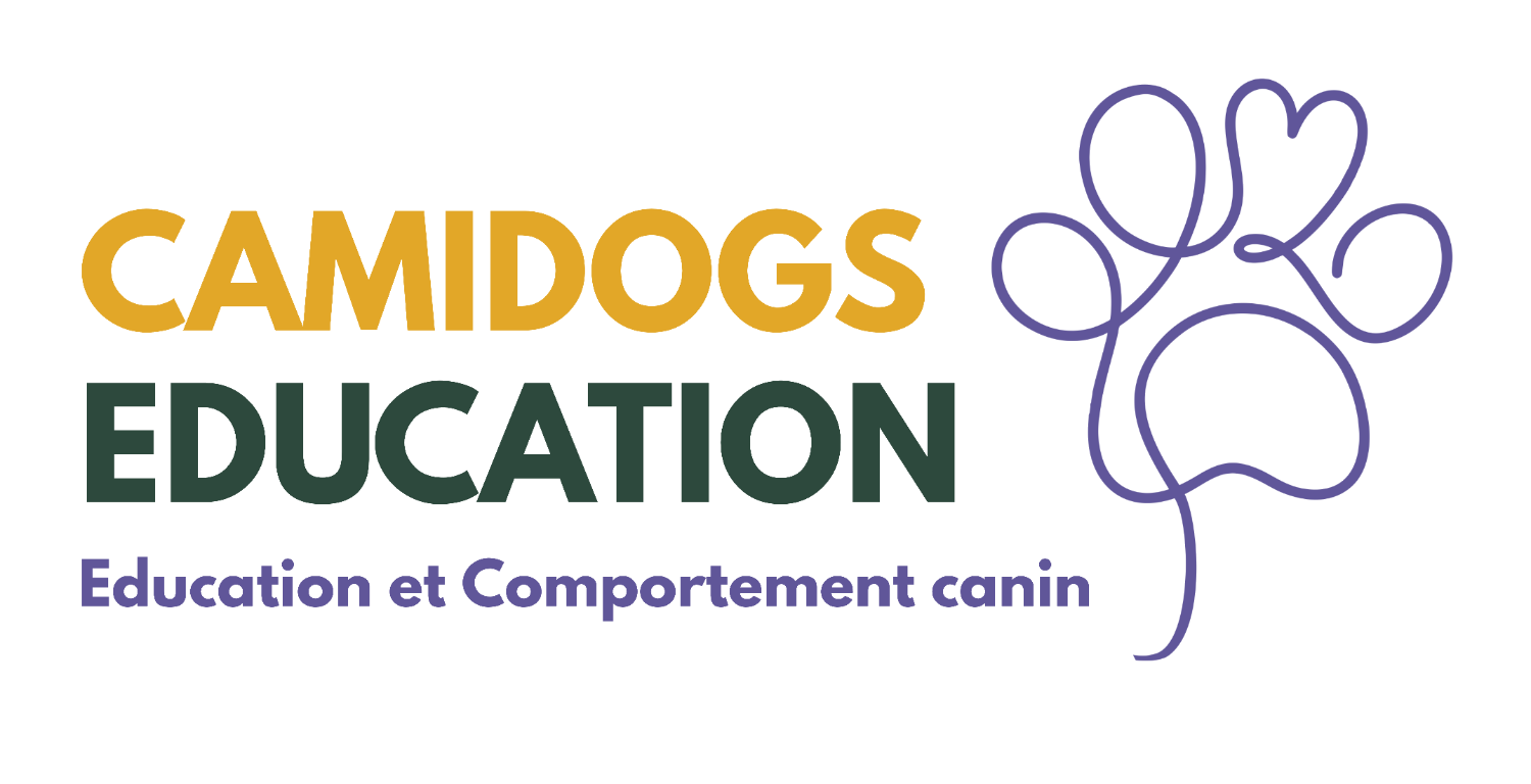 Camidogs Education